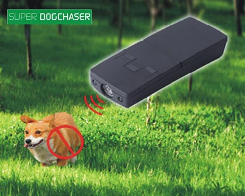 Dog Chaser