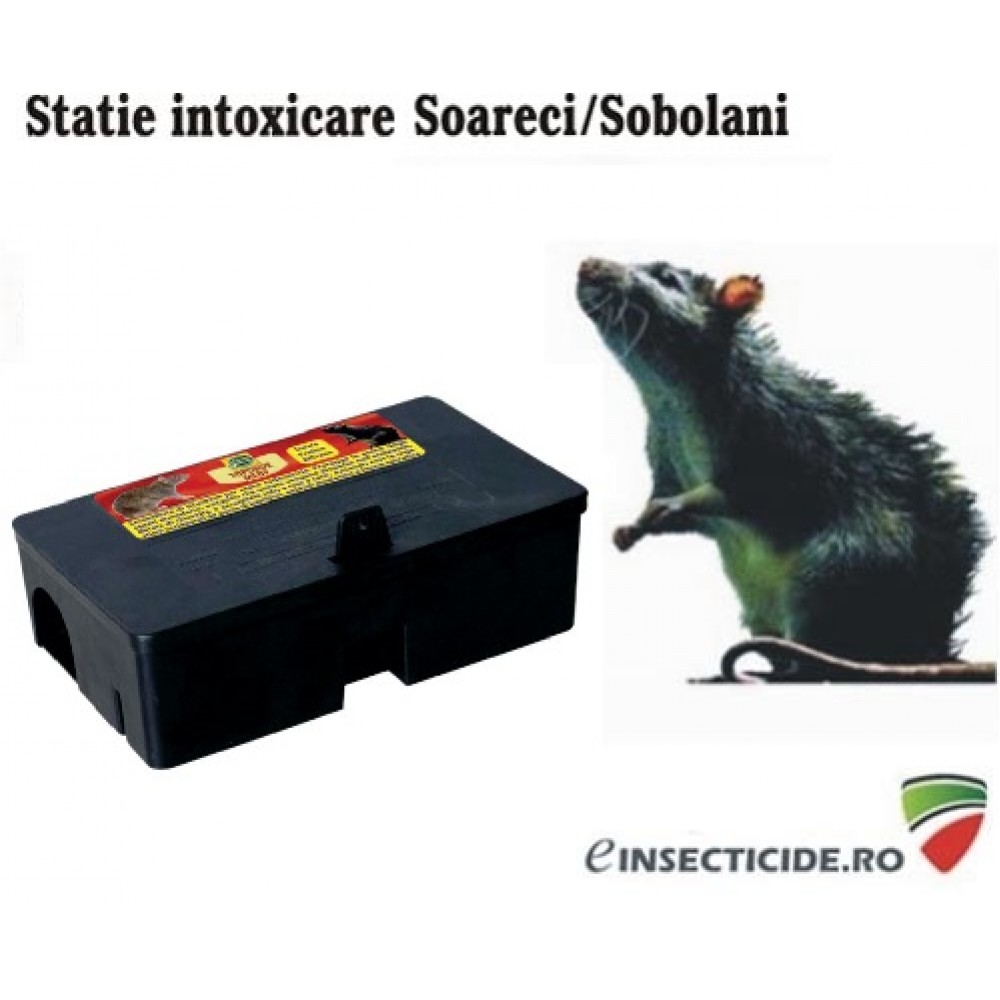 TOP18: Statie intoxicare rozatoare 