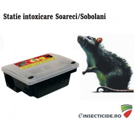 TOP19: Statie intoxicare rozatoare 