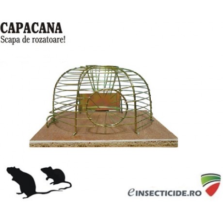 TTP37: Capcana mecanica contra soarecilor 