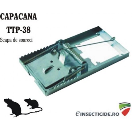 TTP38 (set 2 buc) : Cursa mecanica impotriva soarecilor