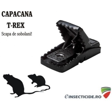 Mini T-rex: Capcana mecanica pentru soareci 